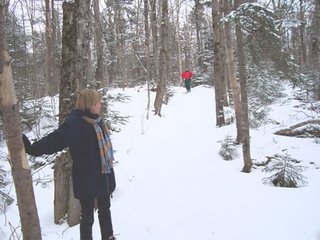 X-Country Skiing from the Higland Center